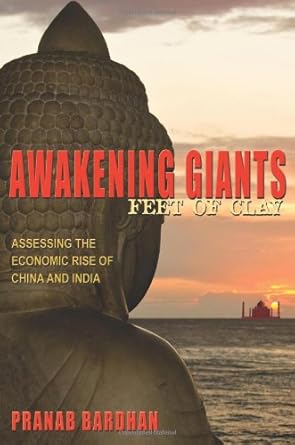 awakening giants feet of clay assessing the economic rise of china and india 1st edition pranab bardhan