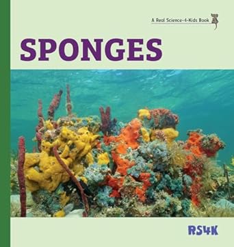 sponges 1st edition rebecca woodbury m ed ph d 1953542557, 978-1953542557