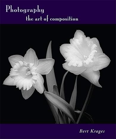 photography the art of composition 1st edition bert krages 1581154097, 978-1581154092