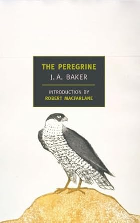 the peregrine 48173rd edition j a baker ,robert macfarlane 1590171330, 978-1590171332