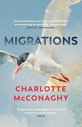 migrations 1st edition mcconaghyn charlott 1529111862, 978-1529111866