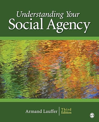 understanding your social agency 3rd edition armand lauffer 141292653x, 978-1412926539