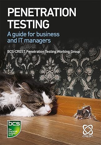 penetration testing 1st edition bcs crest penetratation testing working group 178017408x, 978-1780174082