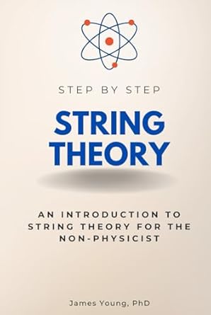 string theory step by step an introduction to string theory for the non physicist 1st edition james young