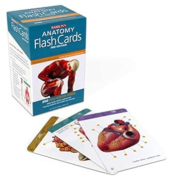 anatomy flash cards 3rd edition ken ashwell ph d 1438077173, 978-1438077178