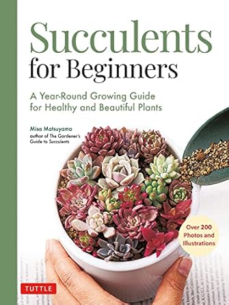 succulents for beginners a year round growing guide for healthy and beautiful plants 1st edition misa