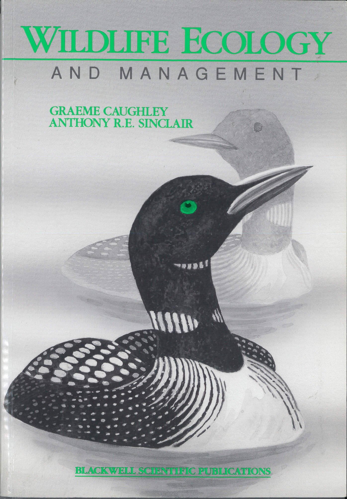 wildlife ecology and management 1st edition caughley, graeme, sinclair, anthony r. e. 0865421447,