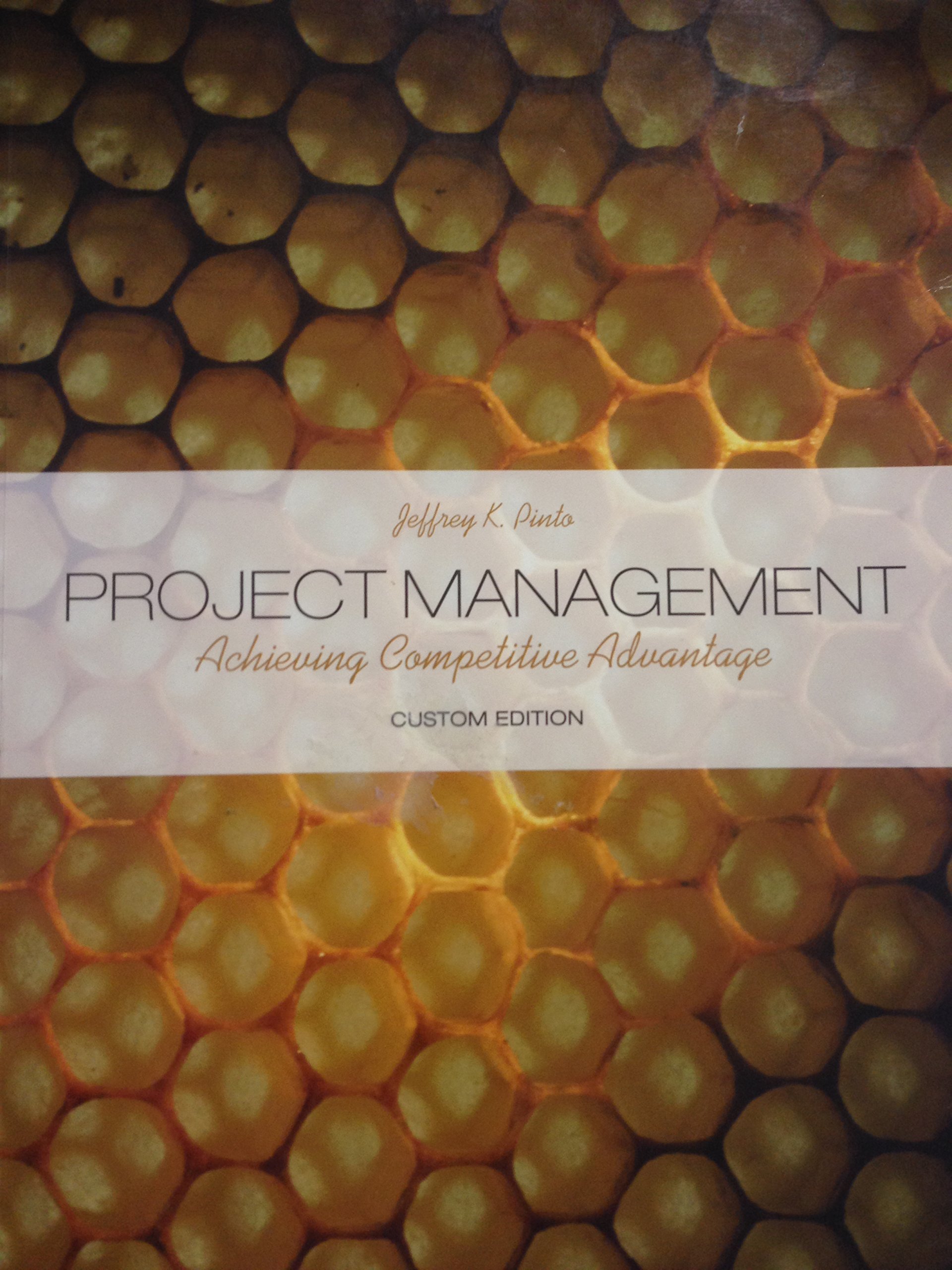 project management achieving competitive advantage  jeffrey k. pinto 0558202896, 9780558202897