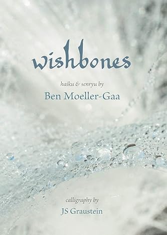 wishbones 1st edition ben moeller-gaa 1610191161, 978-1610191166