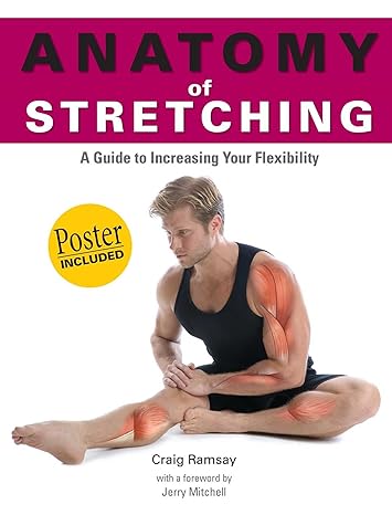 Anatomy Of Stretching