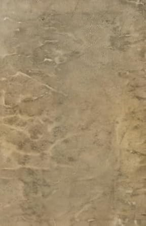 voynich reproduccion del manuscrito 1st edition autor anonimo ,ediciones omnis b0clhs1dn2, 979-8864207420