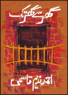 ghar say ghar tak 1st edition ahmad nadeem qasmi 9693520874, 978-9693520873