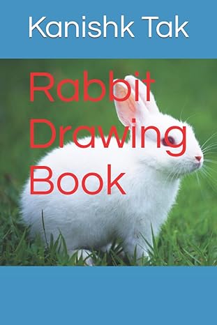 rabbit drawing book 1st edition mr kanishk tak 979-8443406992