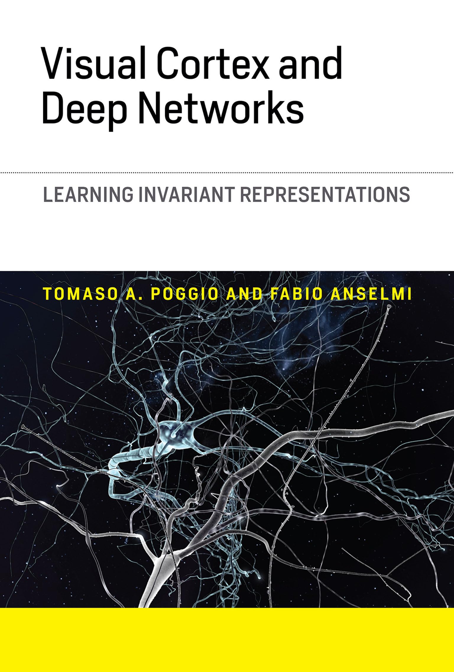 visual cortex and deep networks learning invariant representations 1st edition poggio, tomaso a., anselmi,