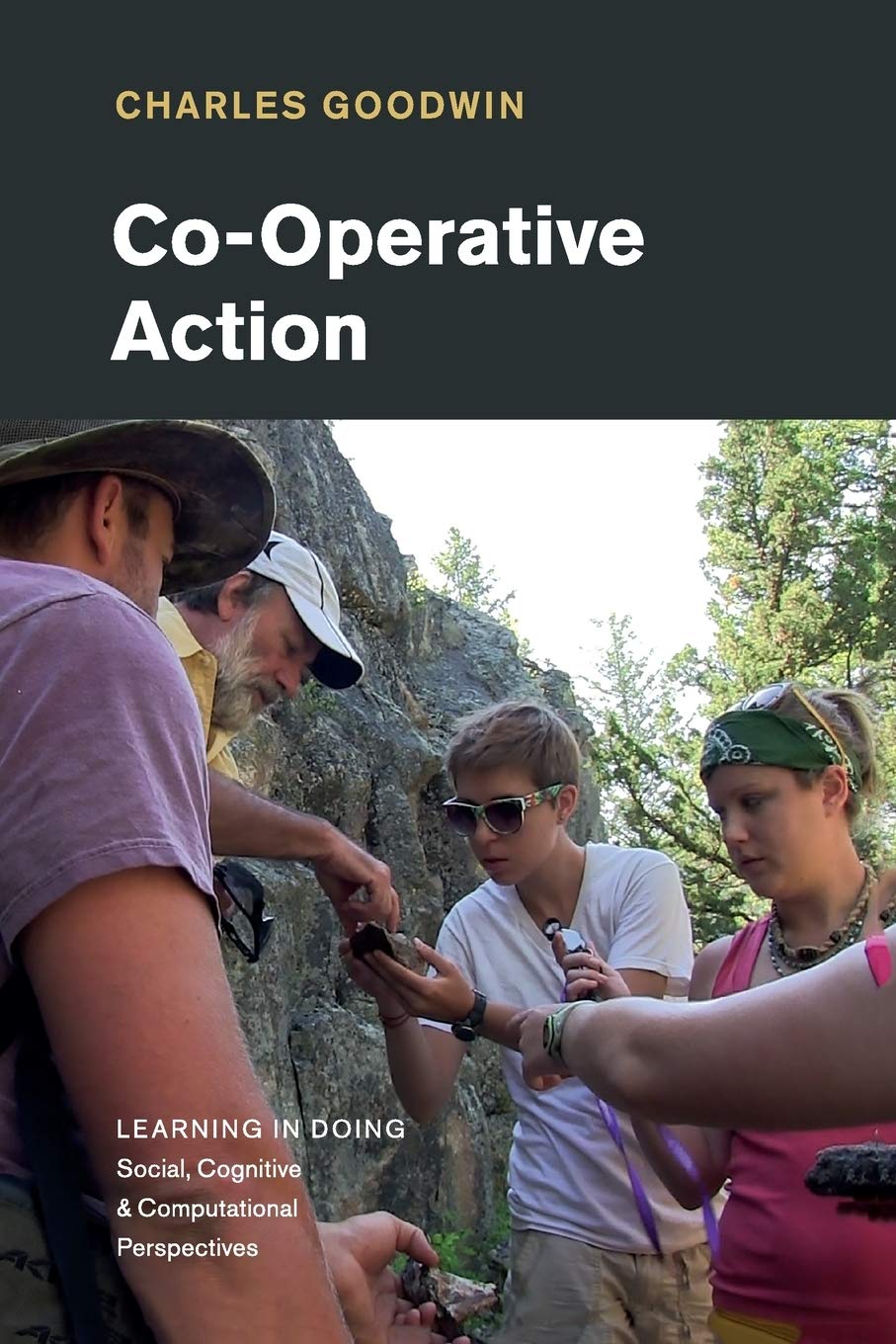 co operative action 1st edition goodwin phd, charles 1108714773, 9781108714778