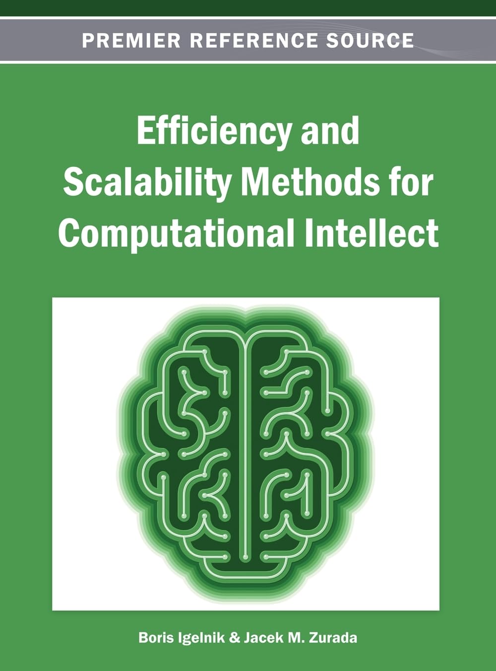 efficiency and scalability methods for computational intellect 1st edition boris igelnik 1466639423,
