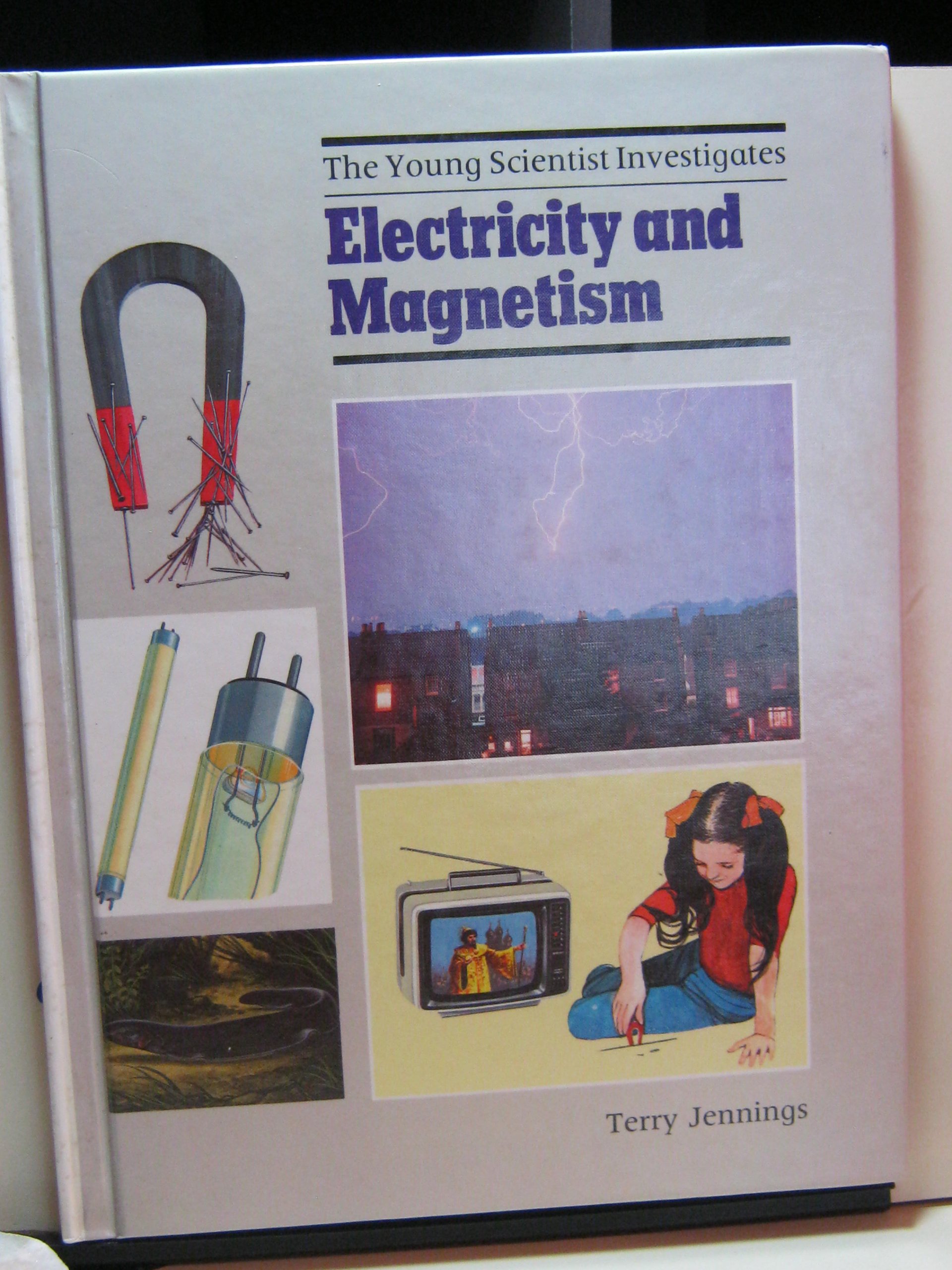 electricity and magnetism north american edition jennings, terry j. 0516084372, 9780516084374
