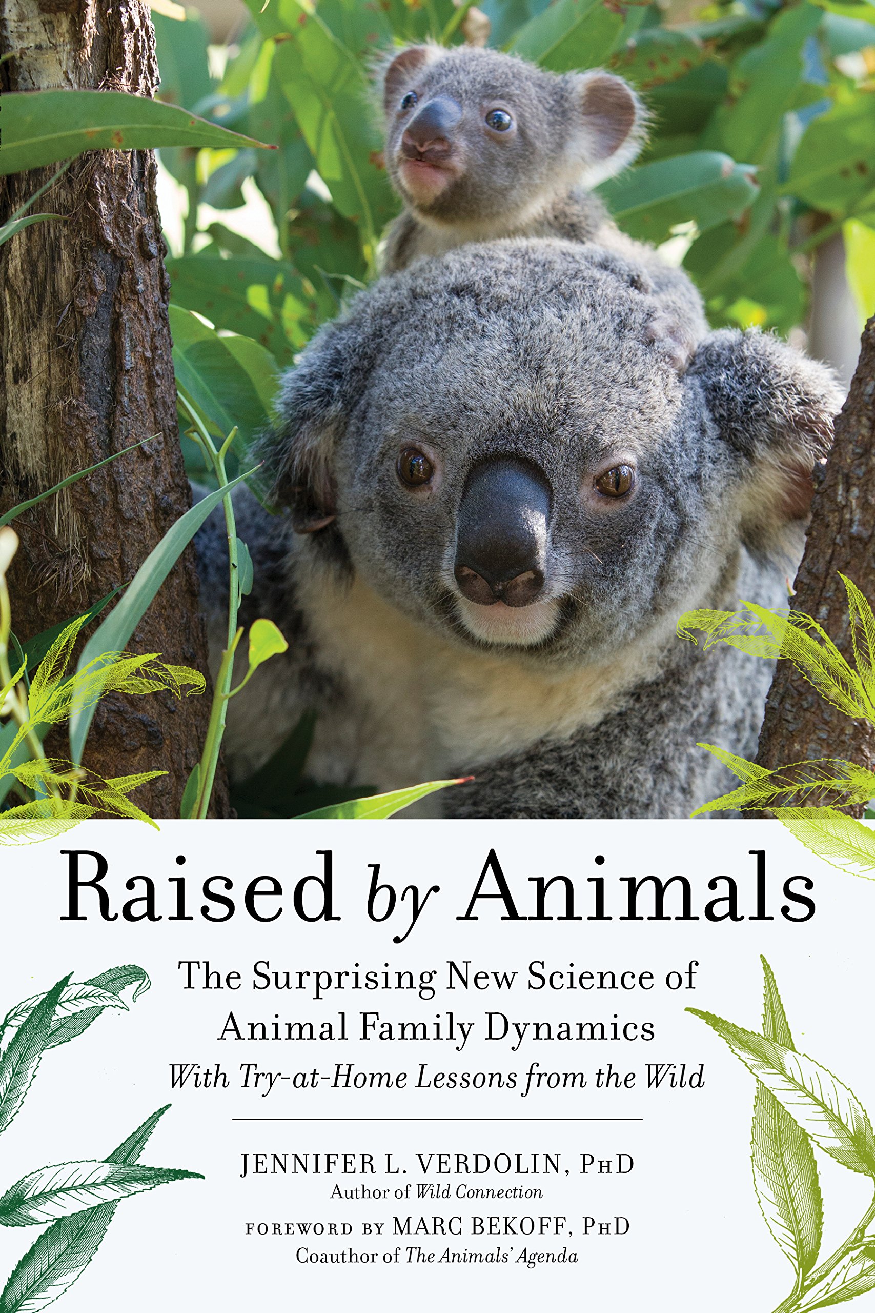 raised by animals the surprising new science of animal family dynamics verdolin phd, jennifer l. 1615193448,