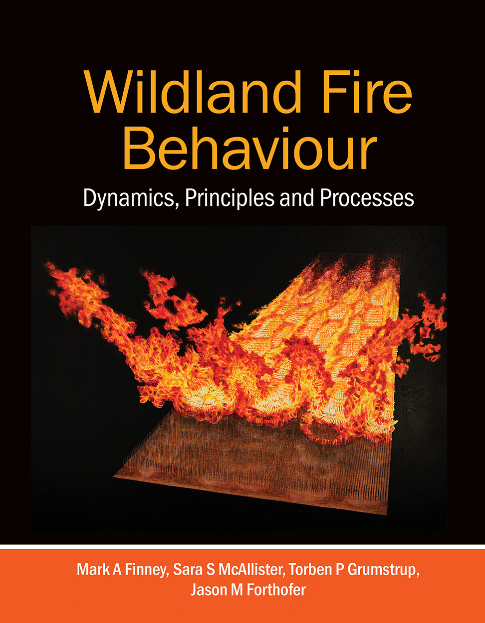 wildland fire behaviour dynamics principles and processes 1st edition finney, mark a., mcallister, sara s.,