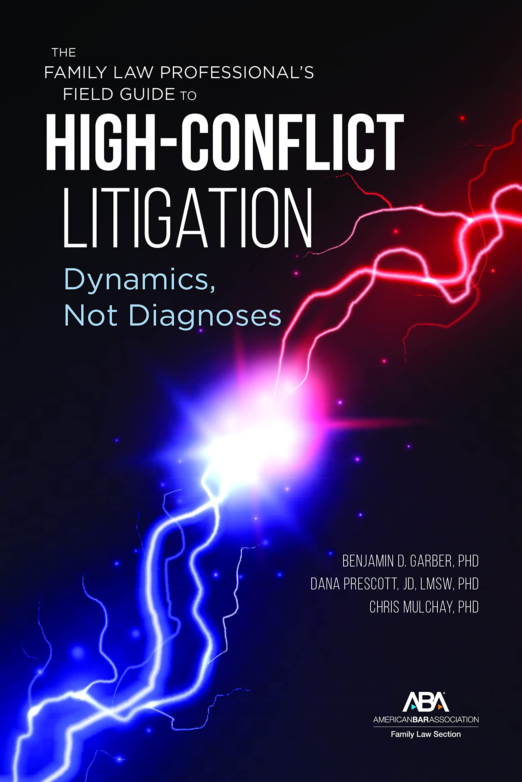 the family law professionals field guide to high conflict litigation dynamics not diagnoses garber,