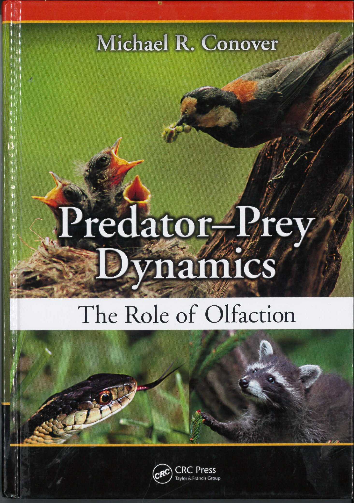predator prey dynamics the role of olfaction 1st edition conover, michael r. 0849392705, 9780849392702