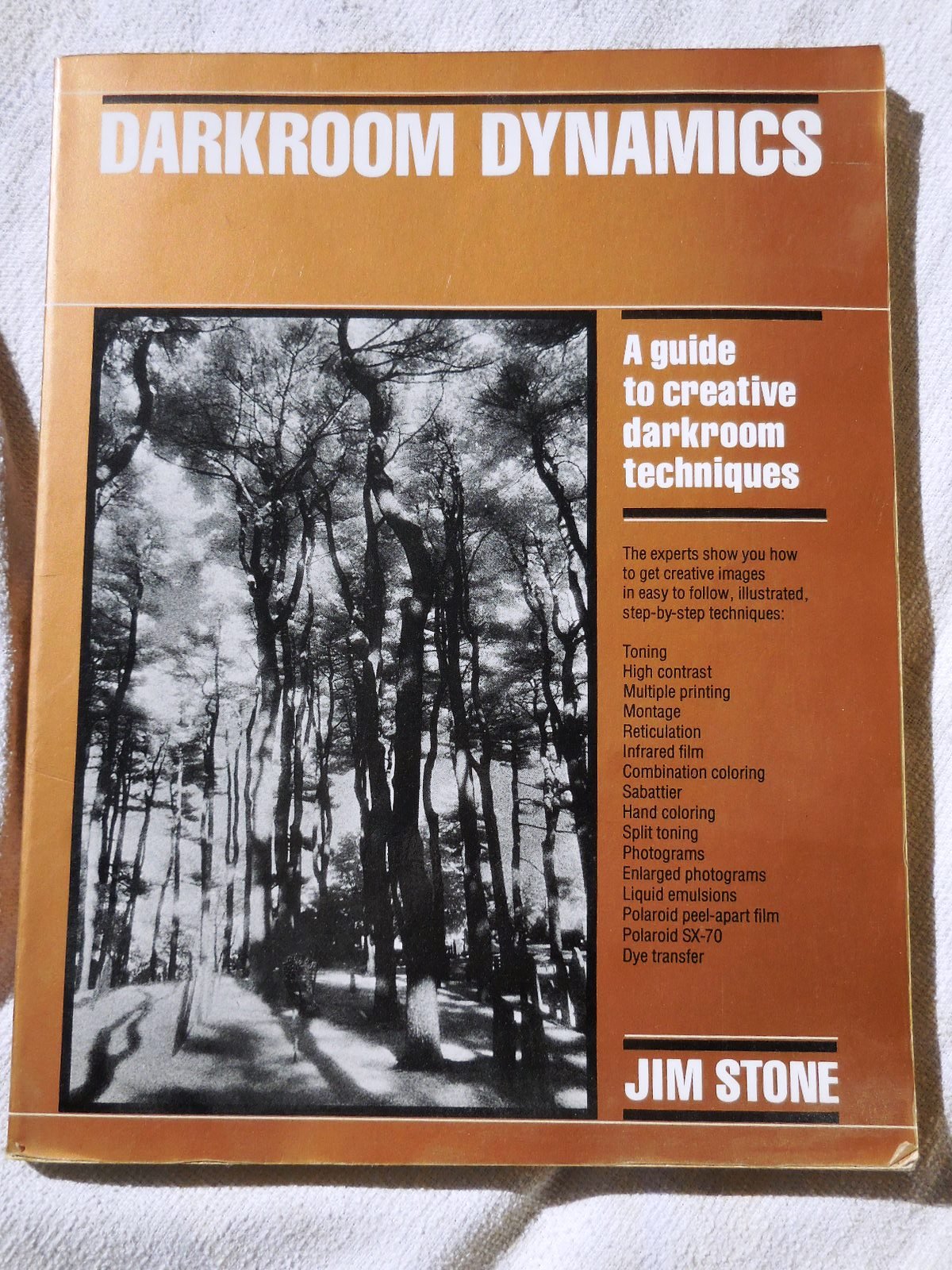darkroom dynamics an introduction to creative photographic techniques jim stone 0442279256, 9780442279257