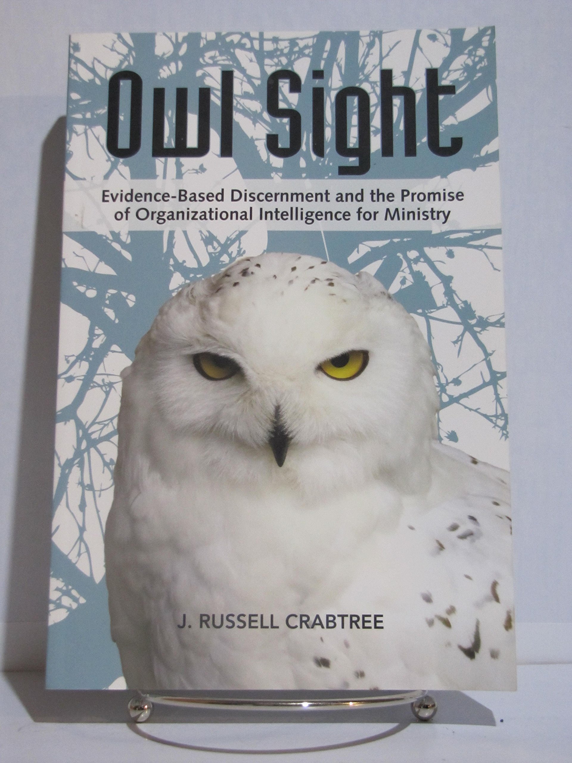 owl sight evidence based discernment and the promise of organizational intelligence for ministry 1st edition