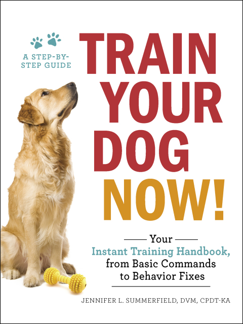 train your dog now your instant training handbook from basic commands to behavior fixes 3rd edition
