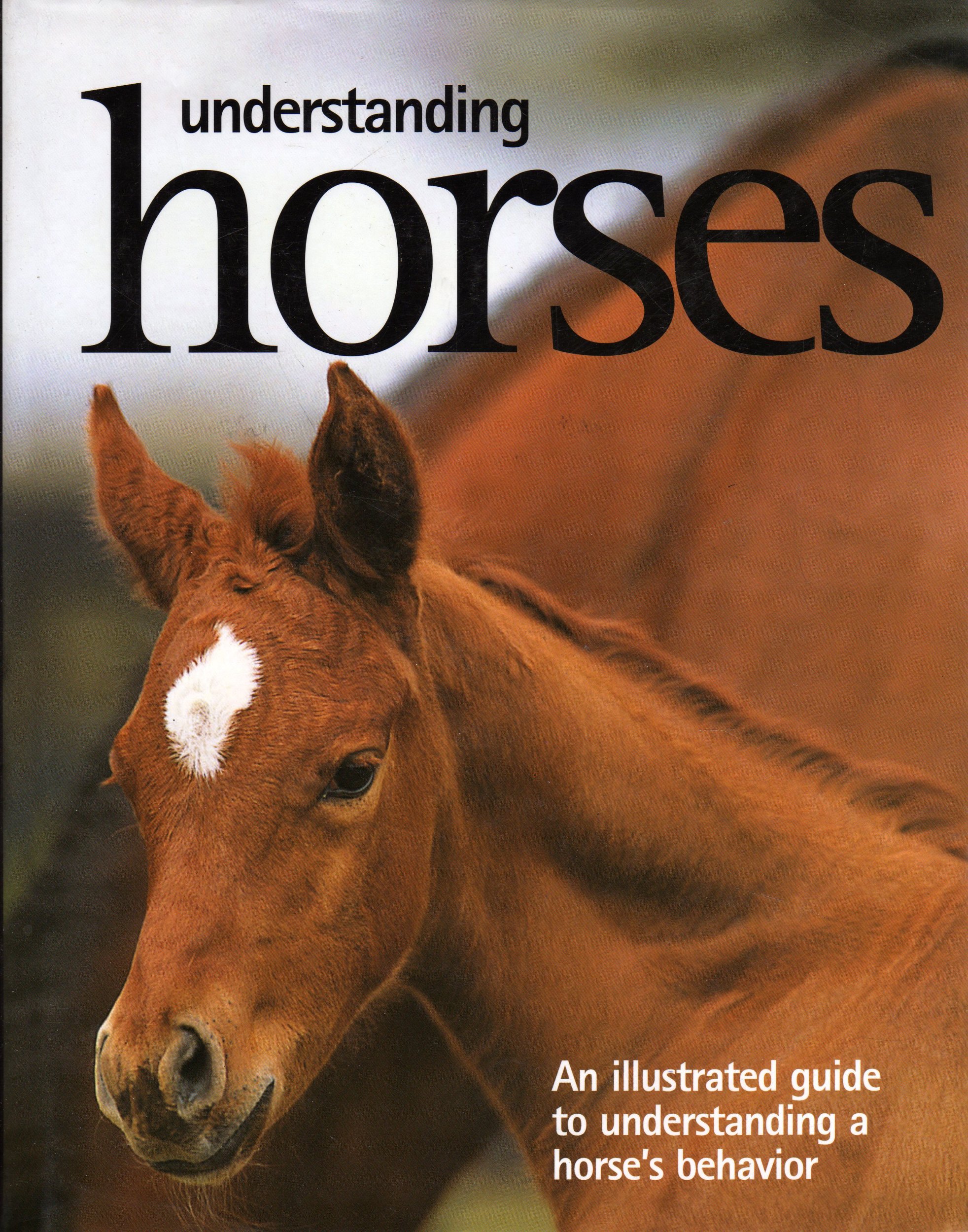 understanding horses an illustrated guide to a horses behavior don harper 1405458089, 9781405458085