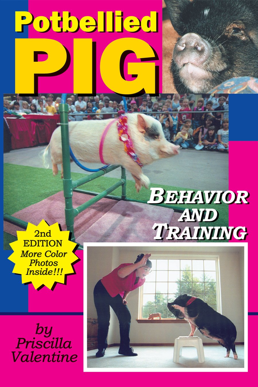 potbellied pig behavior and training a guide for solving behavioral problems in vietnamese potbellied pigs