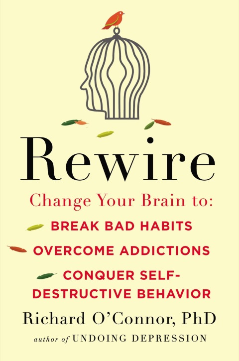 rewire change your brain to break bad habits overcome addictions conquer self destructive behavior 4th
