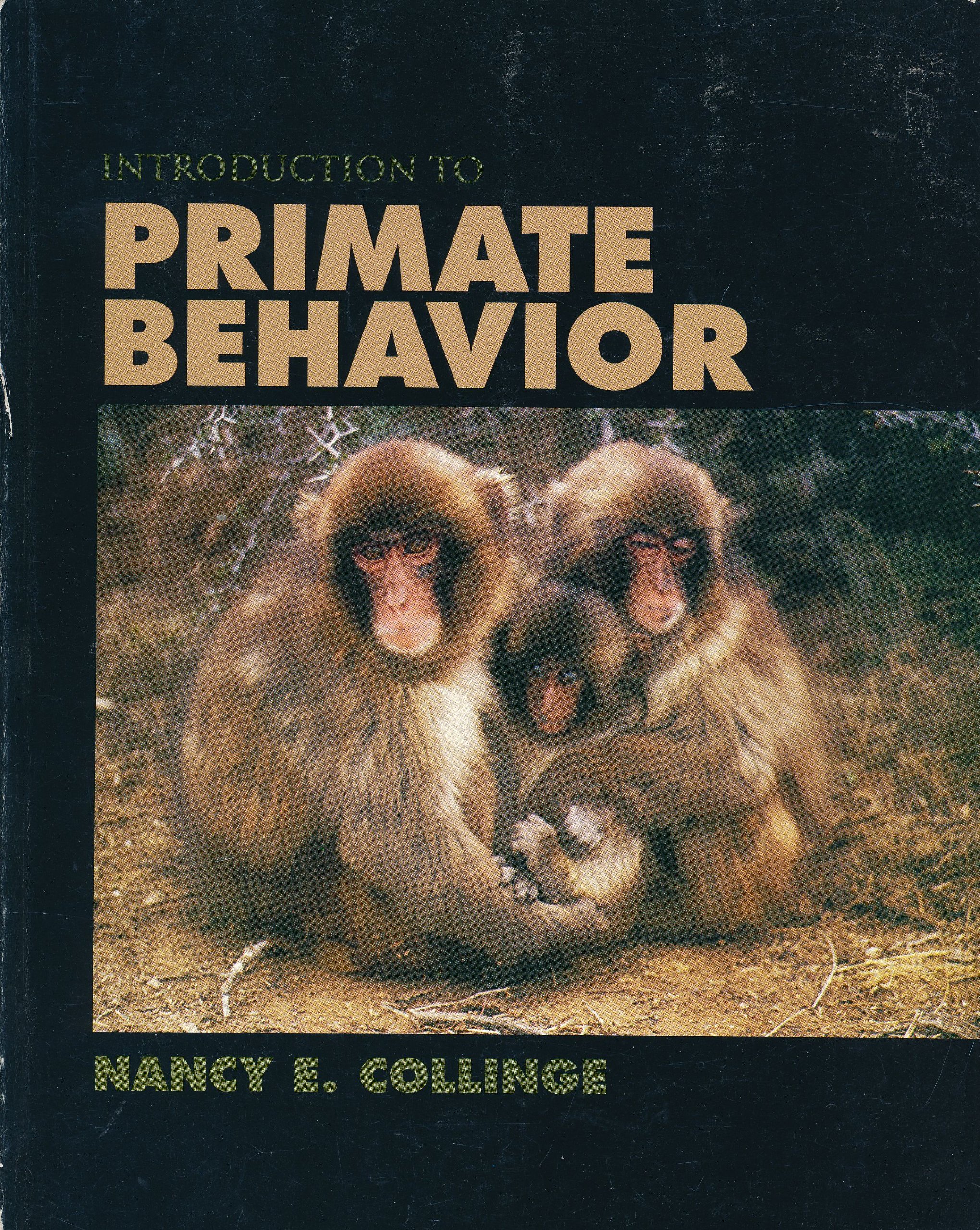 introduction to primate behavior 1st edition collinge, nancy e. 0840385692, 9780840385697
