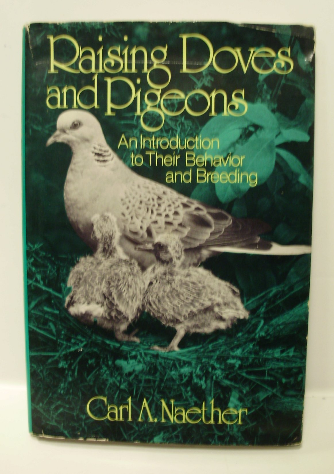 raising doves and pigeons an introduction to their behavior and breeding 1st edition carl a naether