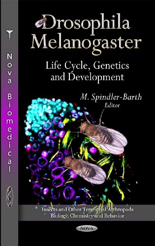 drosophila melanogaster life cycle genetics and development  m. spindler barth 1614702799, 9781614702795