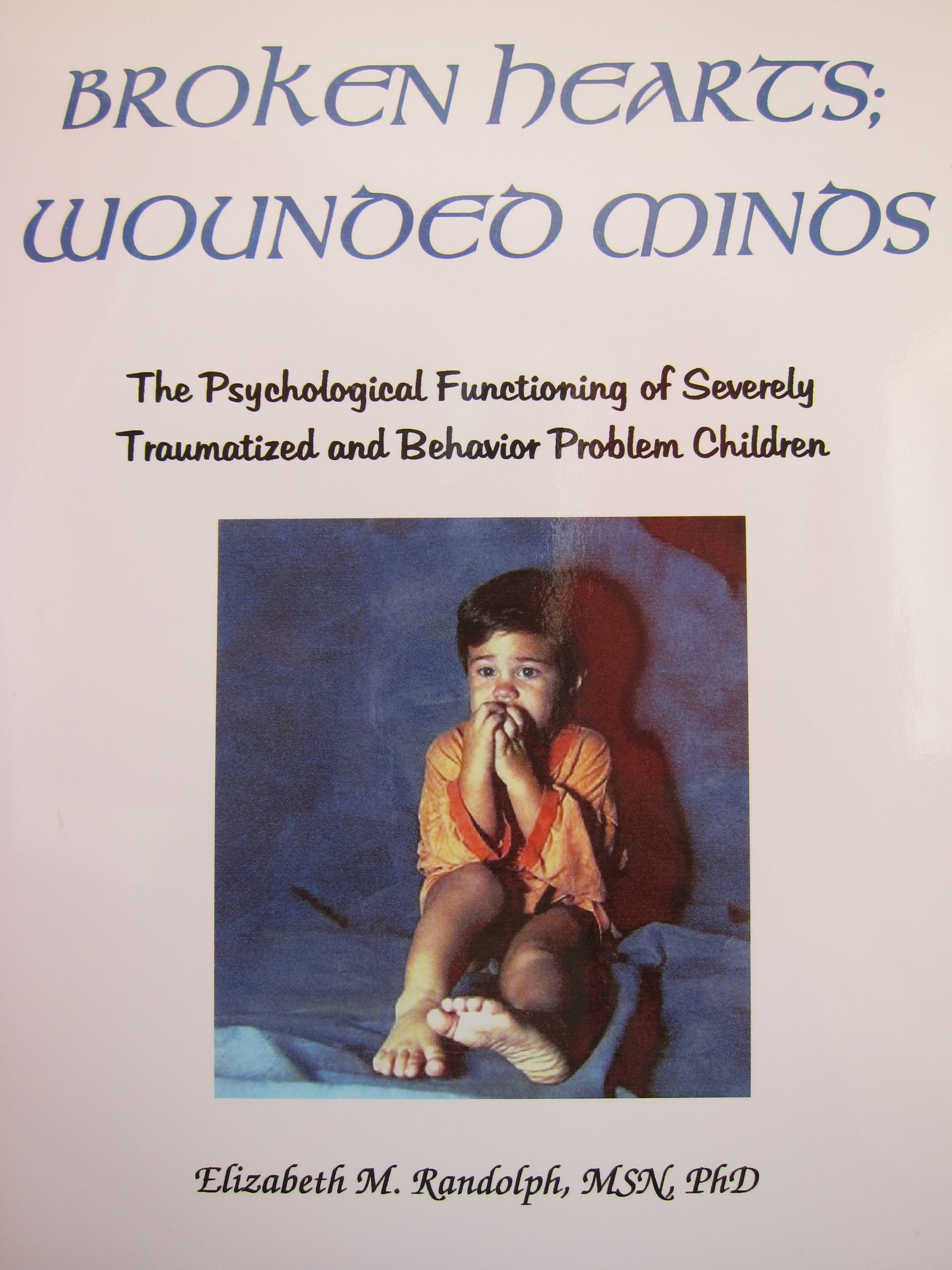 broken hearts wounded minds the psychological functioning of traumatized and behavior problem children