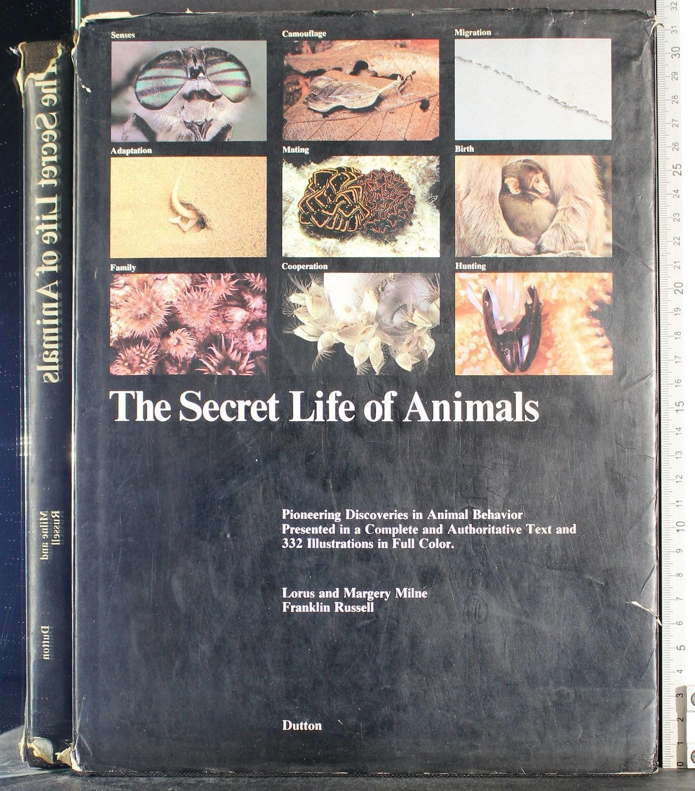 the secret life of animals pioneering discoveries in animal behavior 1st edition milne, lorus johnson