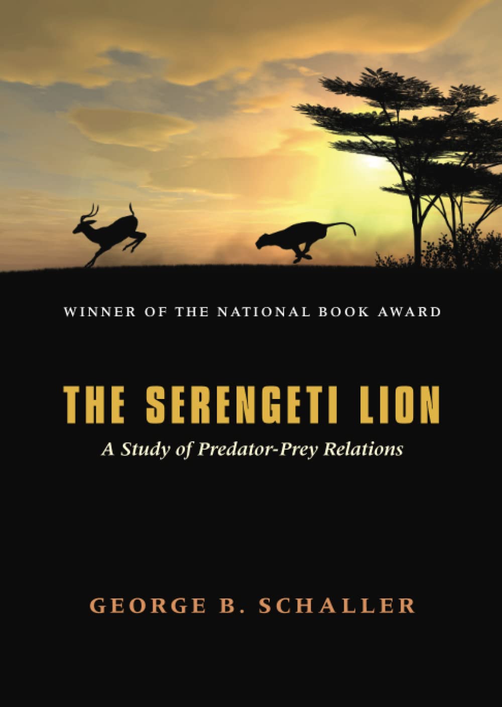 the serengeti lion a study of predator prey relations 1st edition schaller, george b. 0226736407,