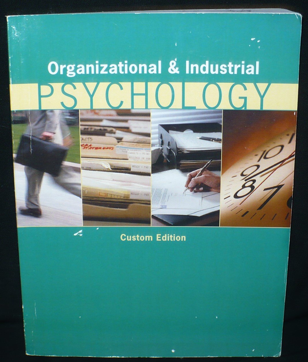 organizational and industrial psychology custom edition by riggio/greenberg/baron/schein paperback 