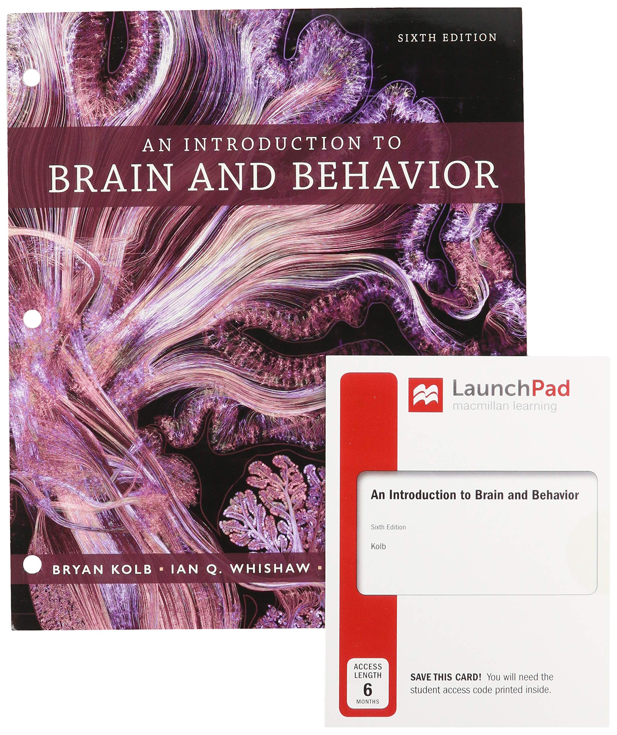 loose leaf version for an introduction to brain and behavior 6e and launchpad for an introduction to brain