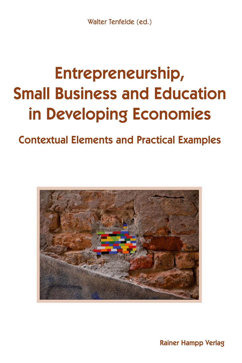 entrepreneurship small business and education in developing economies contextual elements and practical