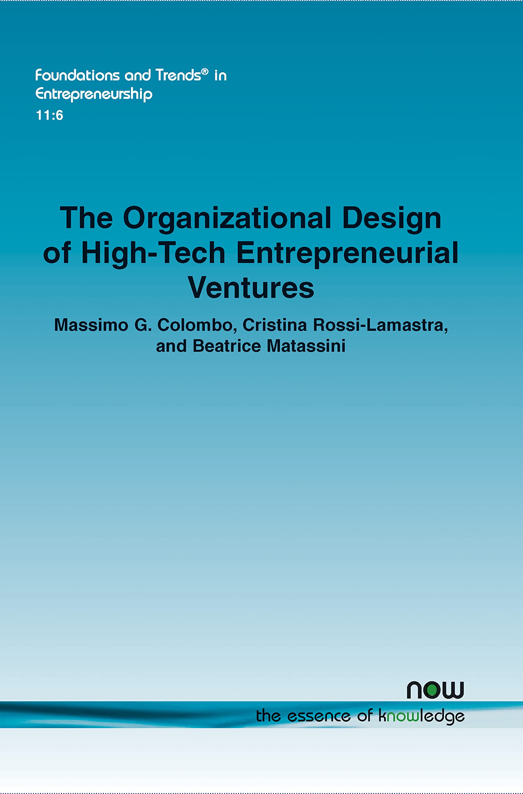 the organizational design of high tech entrepreneurial ventures in entrepreneurship colombo, massimo g.,