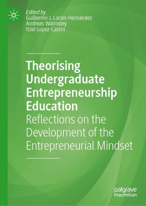 theorising undergraduate entrepreneurship education reflections on the development of the entrepreneurial