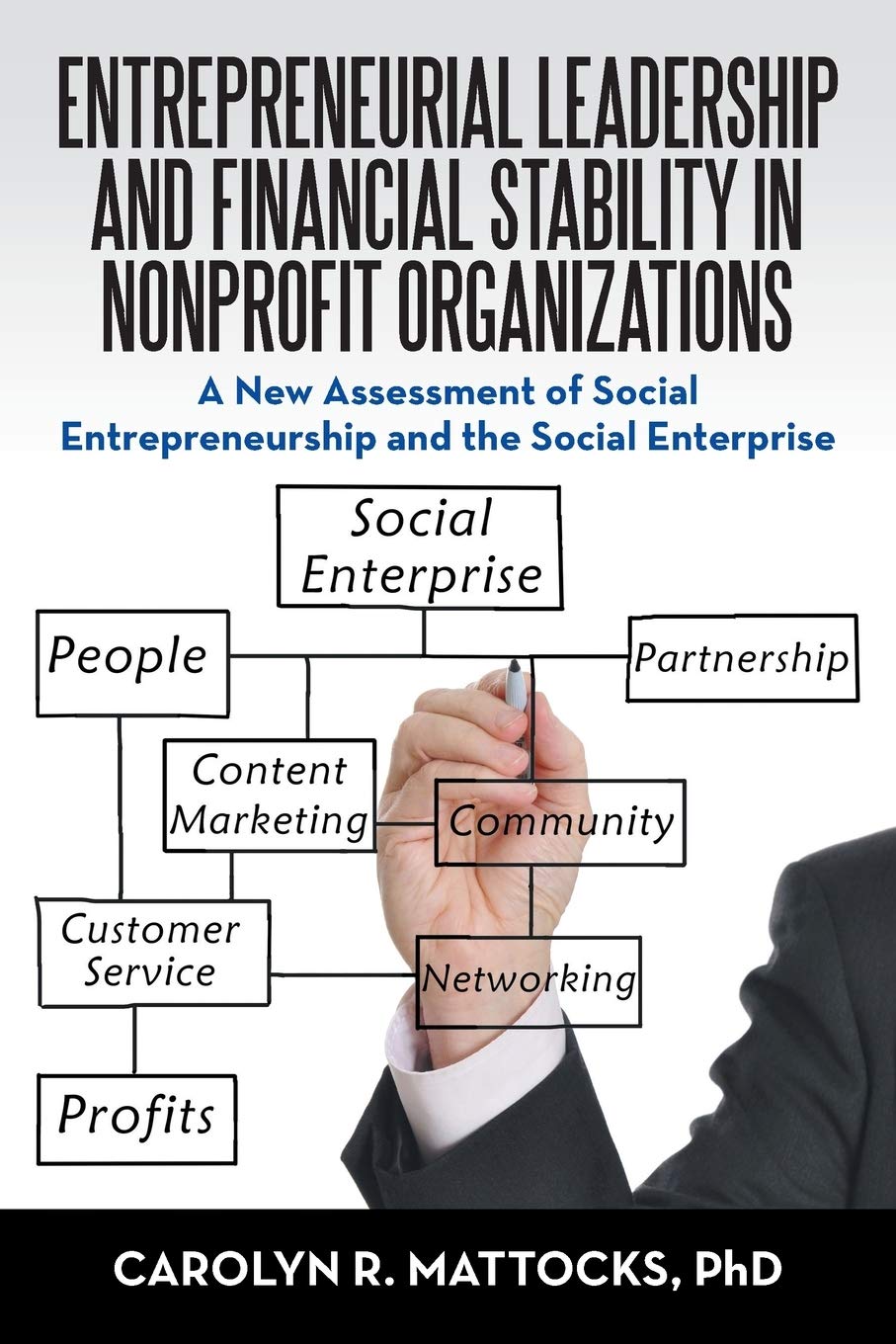 entrepreneurial leadership and financial stability in nonprofit organizations a new assessment of social