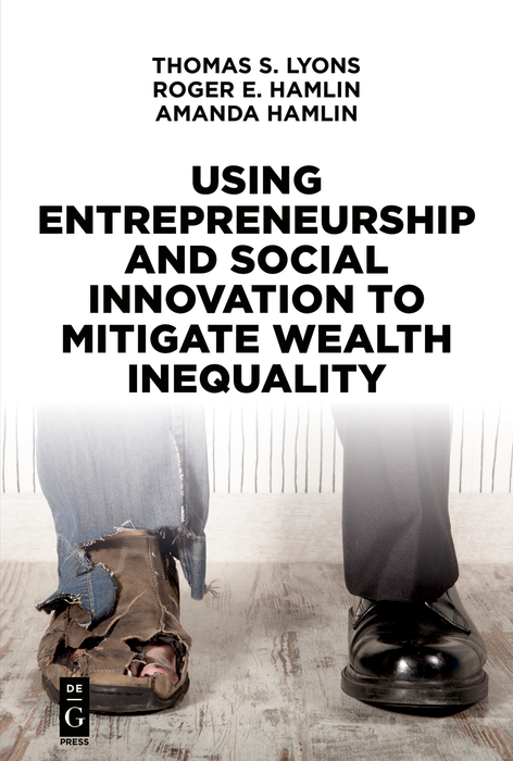 using entrepreneurship and social innovation to mitigate wealth inequality 1st edition lyons, thomas s.,