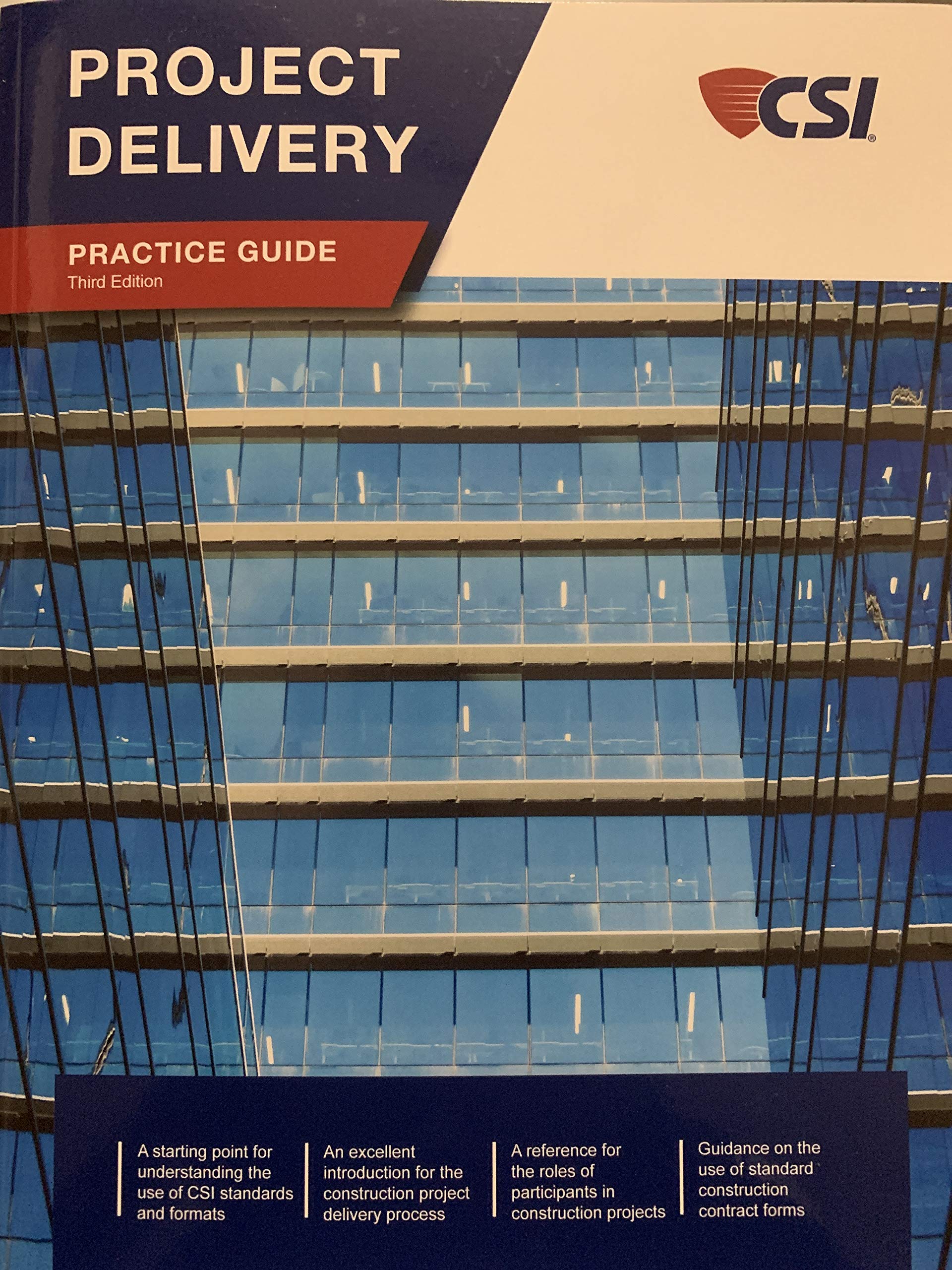 project delivery practice guide  robert dye, ronald geren, barbara larson, dr. glenda mayo 173496541x,