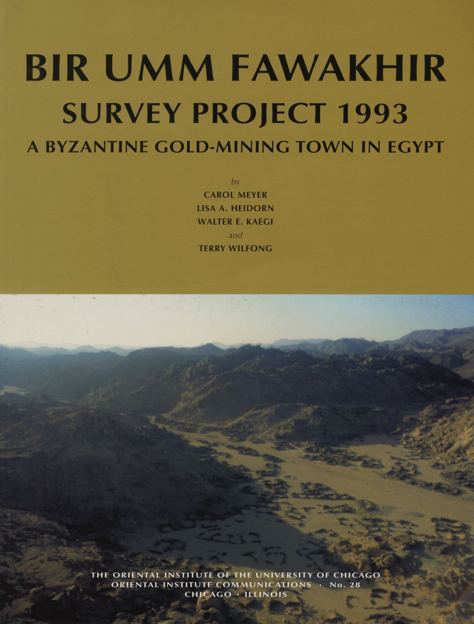 bir umm fawakhir survey project 1993 a byzantine gold mining town in egypt  meyer, carol, heidorn, lisa a.,