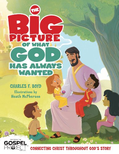 the big picture of what god always wanted  boyd, charles f. 1433680211, 9781433680212