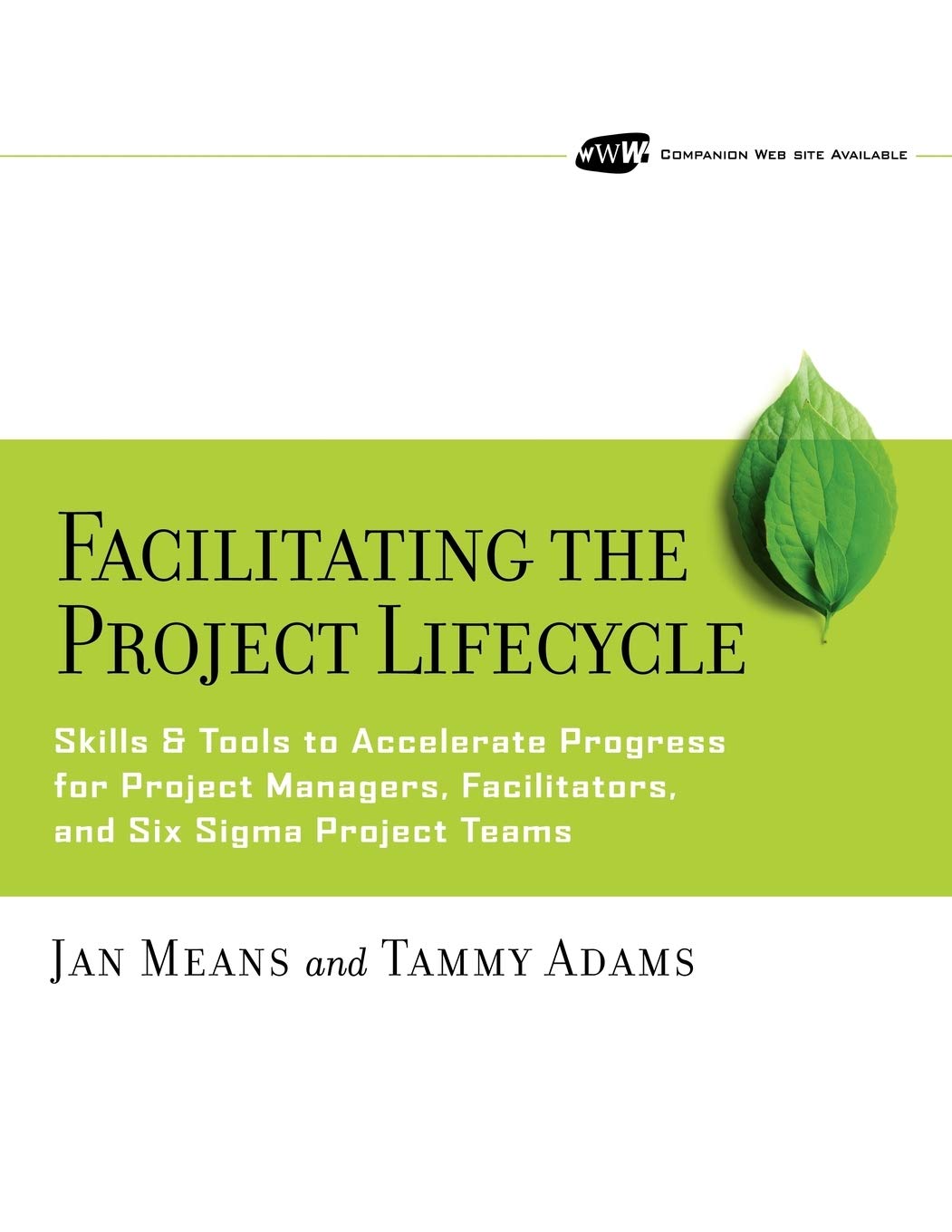 facilitating the project lifecycle the skills and tools to accelerate progress for project managers
