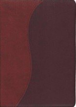 thompson chain reference bible kjv  thompson frank c 0887075789, 9780887075780