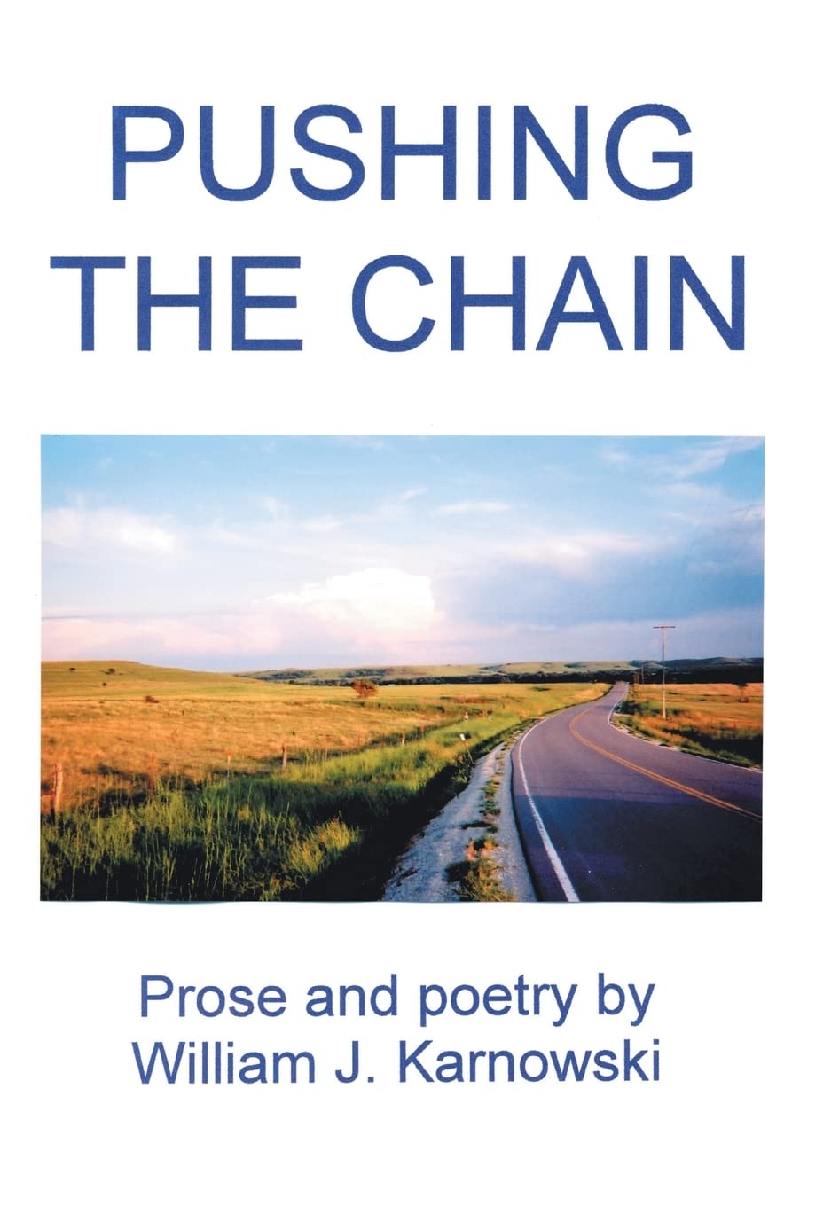 pushing the chain  karnowski, william j. 0595659314, 9780595659319